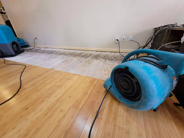 Reliable Basement Flood Cleanup contractor in Fairfax, CA by Hirex Water Damage