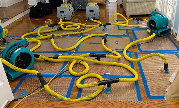 Professional Basement Flood Cleanup technician working in Fairfax, CA